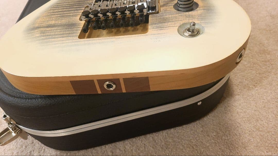 Skervesen Raptor 7 / 7弦ギター