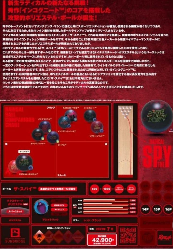 ラディカル　THE SPY 　15P