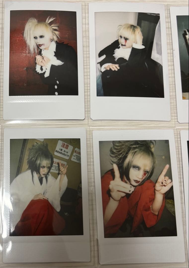 ③黒百合と影 烏名鳴 メメント・モリ 哀 チェキ 10枚セット