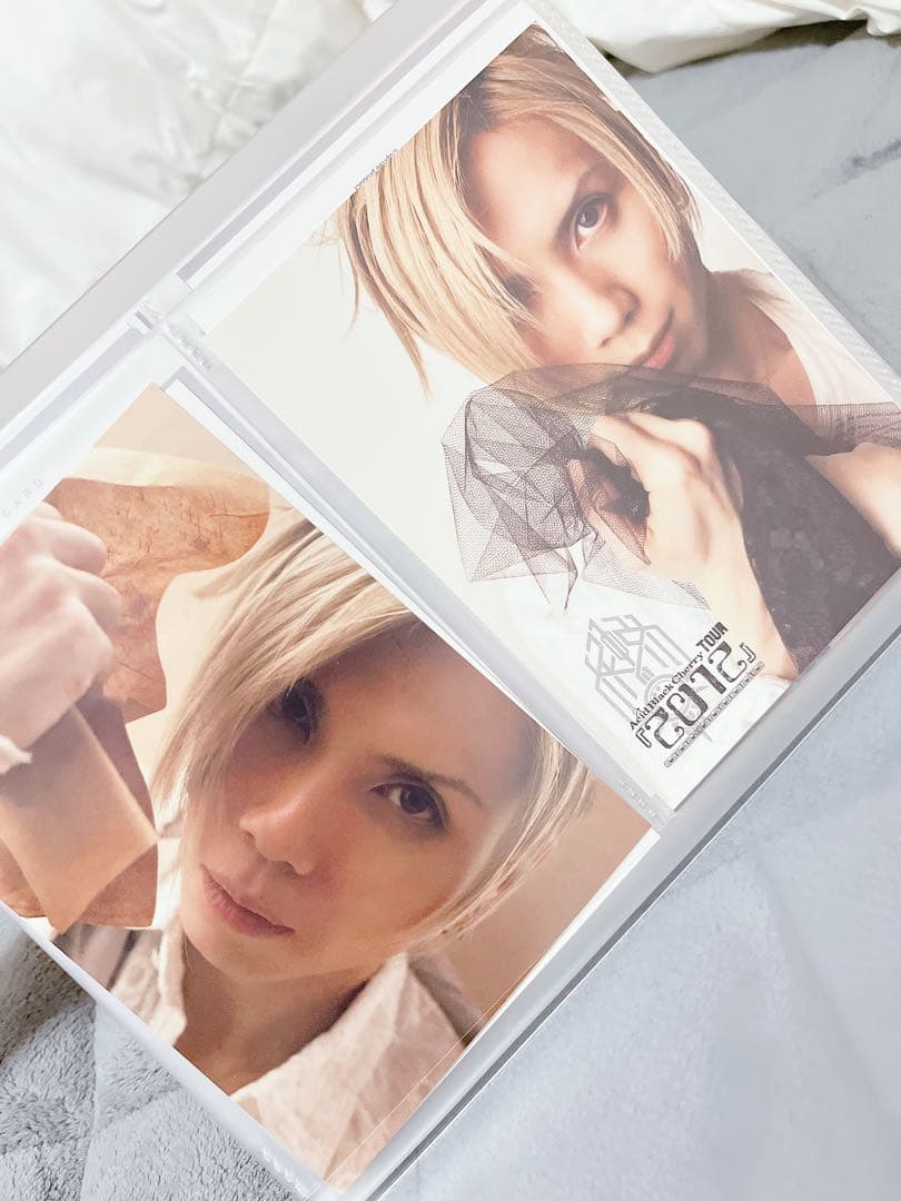 【美品】Acid Black Cherry トレカ 18枚 ポストカード 他