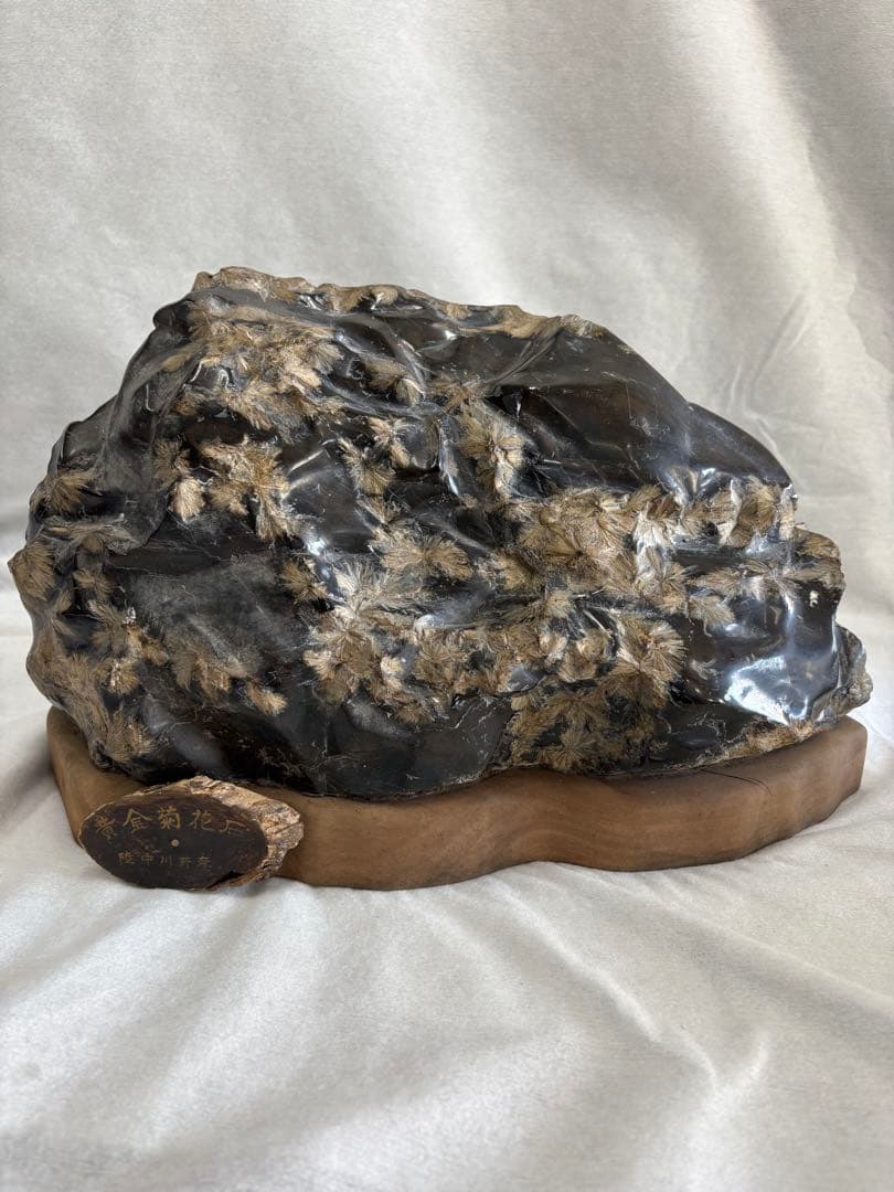 黄金菊花石　岩手県　陸中川井産　天然石