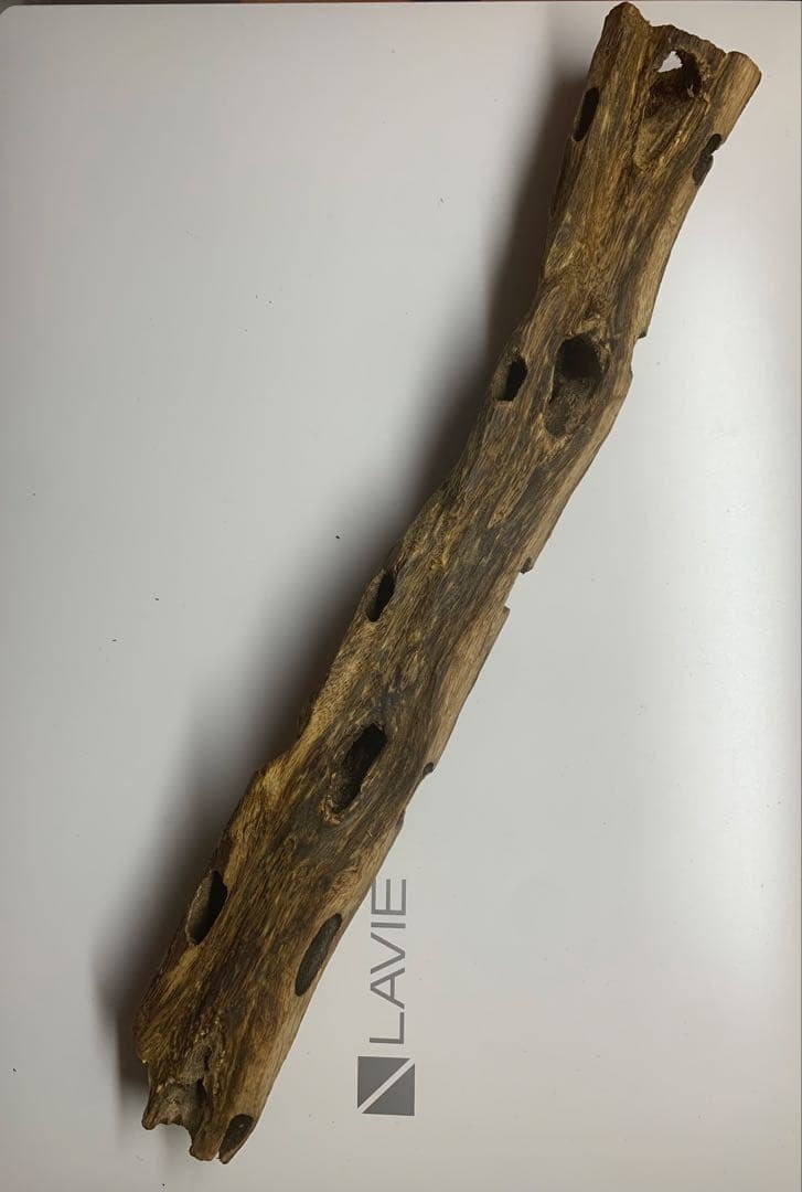 極上緑油伽羅 沈香原木 香木 重さ:131.8g (高ランク本物証明)