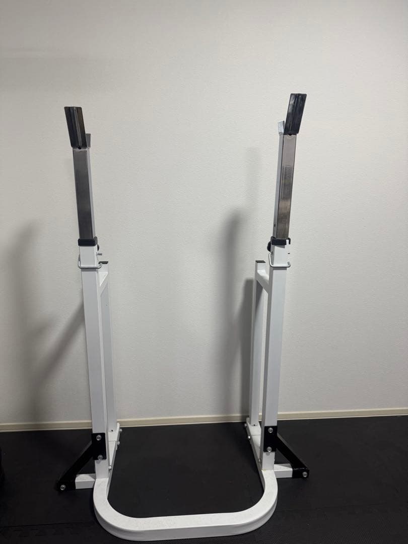 BODY DESIGN(ボディデザイン) スクワットラック