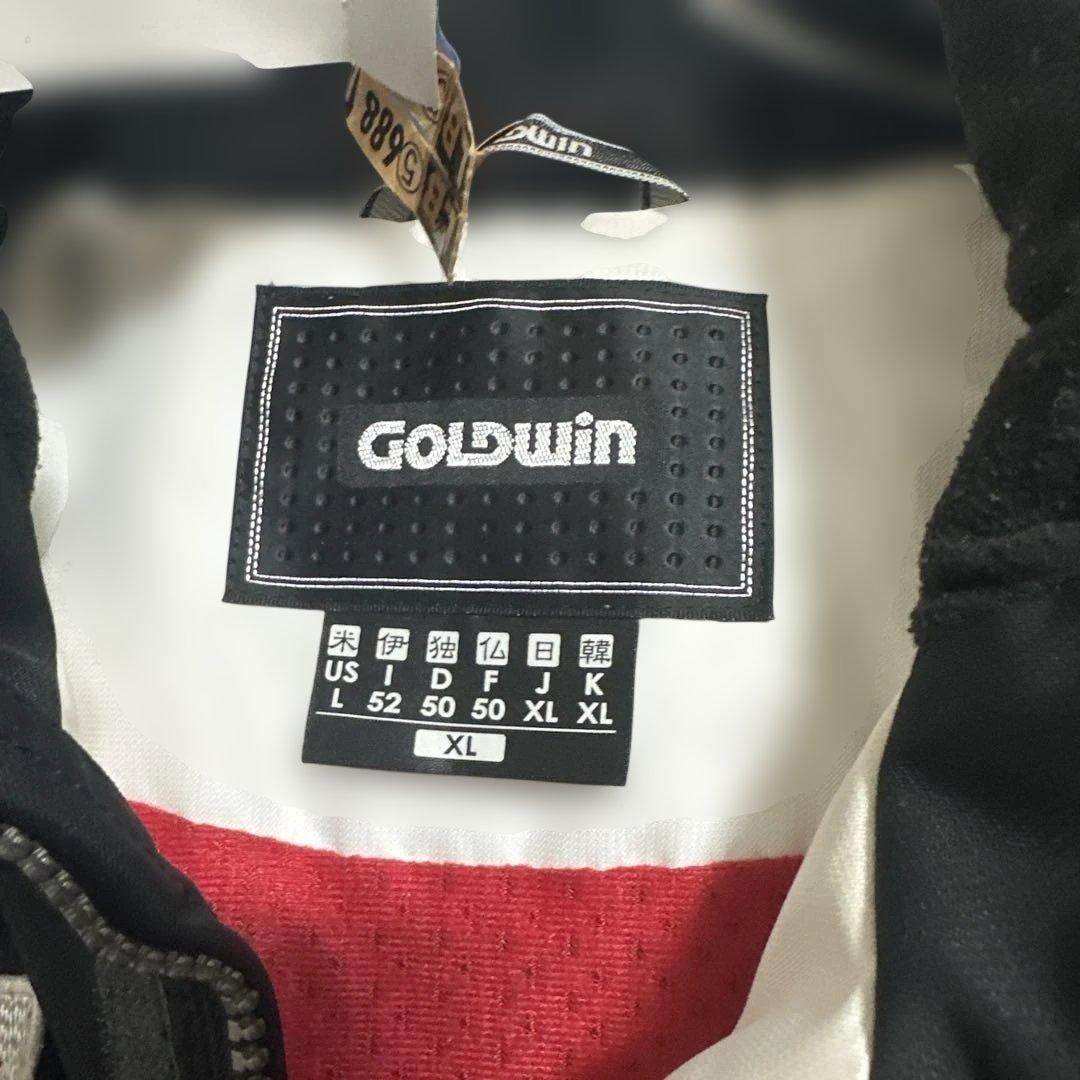 GOLDWIN スキーウェア　スウェーデンナショナルチームモデル　メンズXL