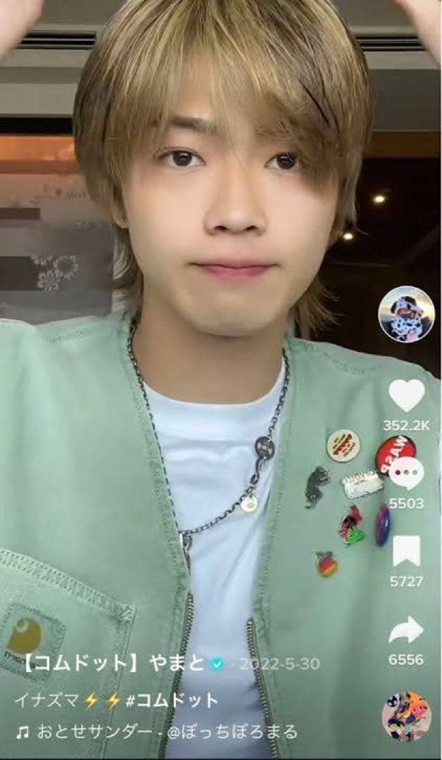 Carhartt wip ARBOR VEST コムドットやまと着用同型