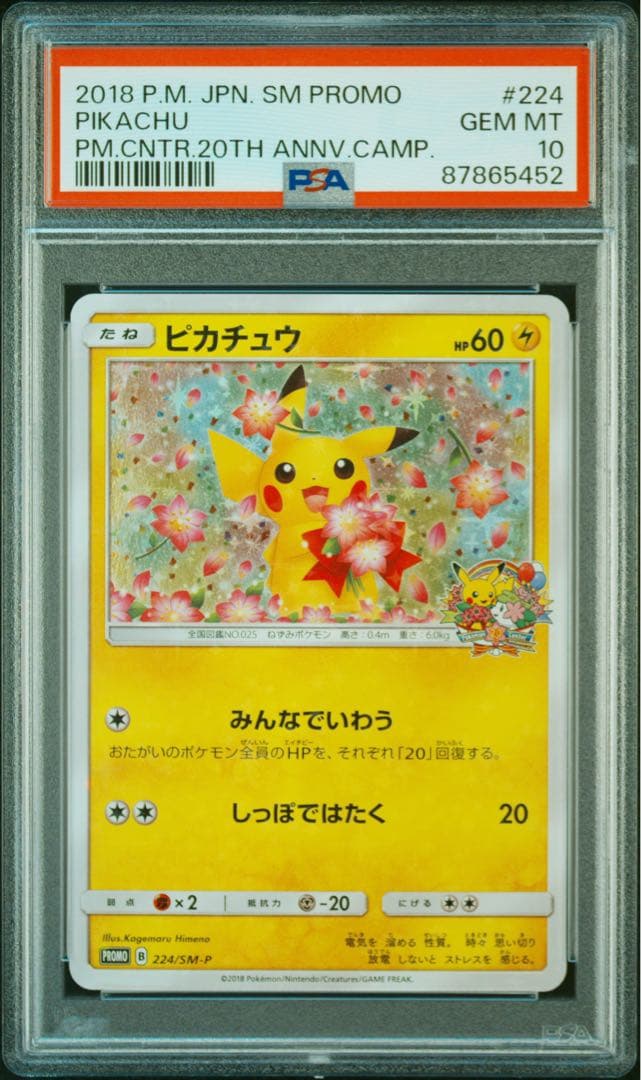 【PSA10】ピカチュウ224/SM-P　20周年　プロモ　みんなでいわう