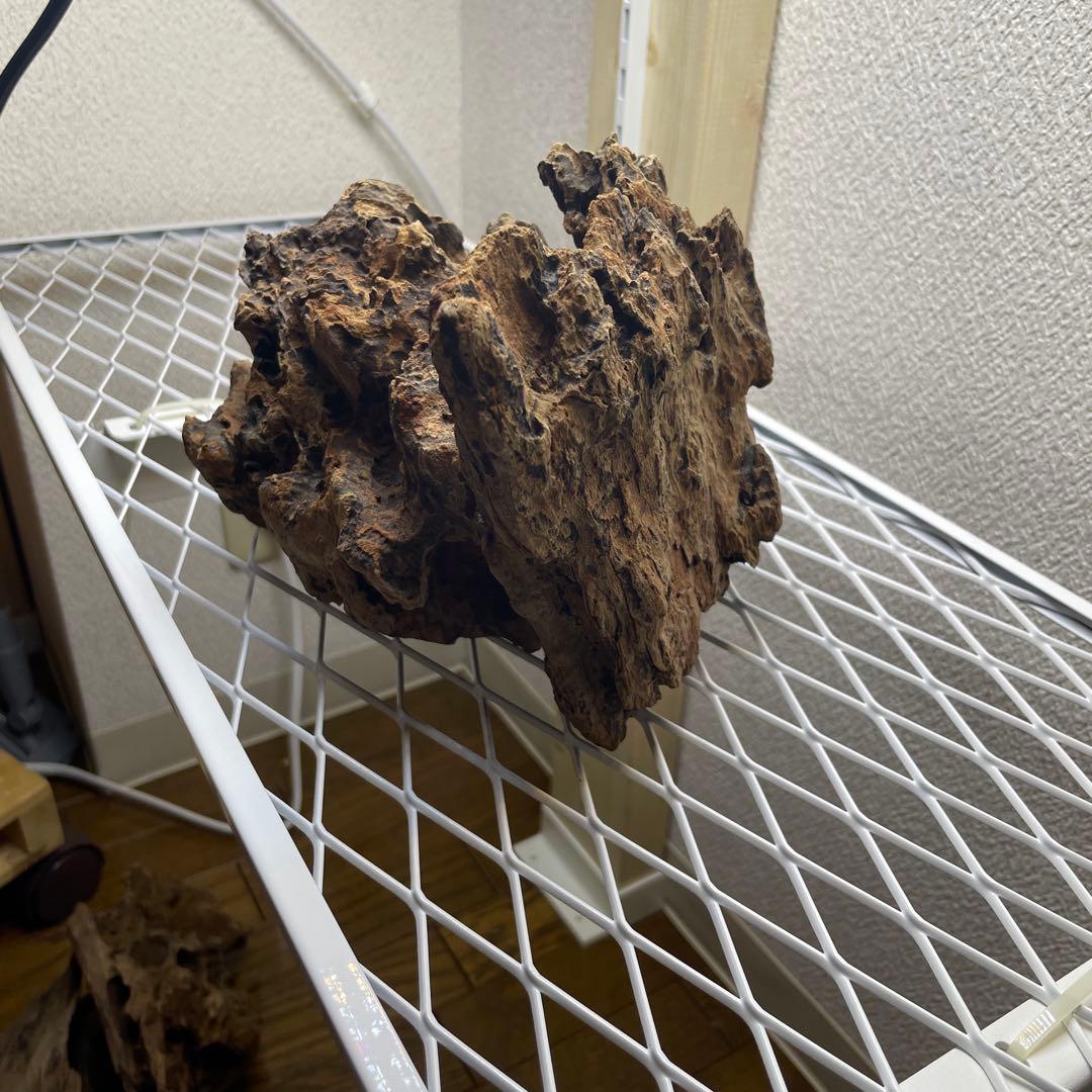 極上　スラウェシウッド　塊状流木　岩石