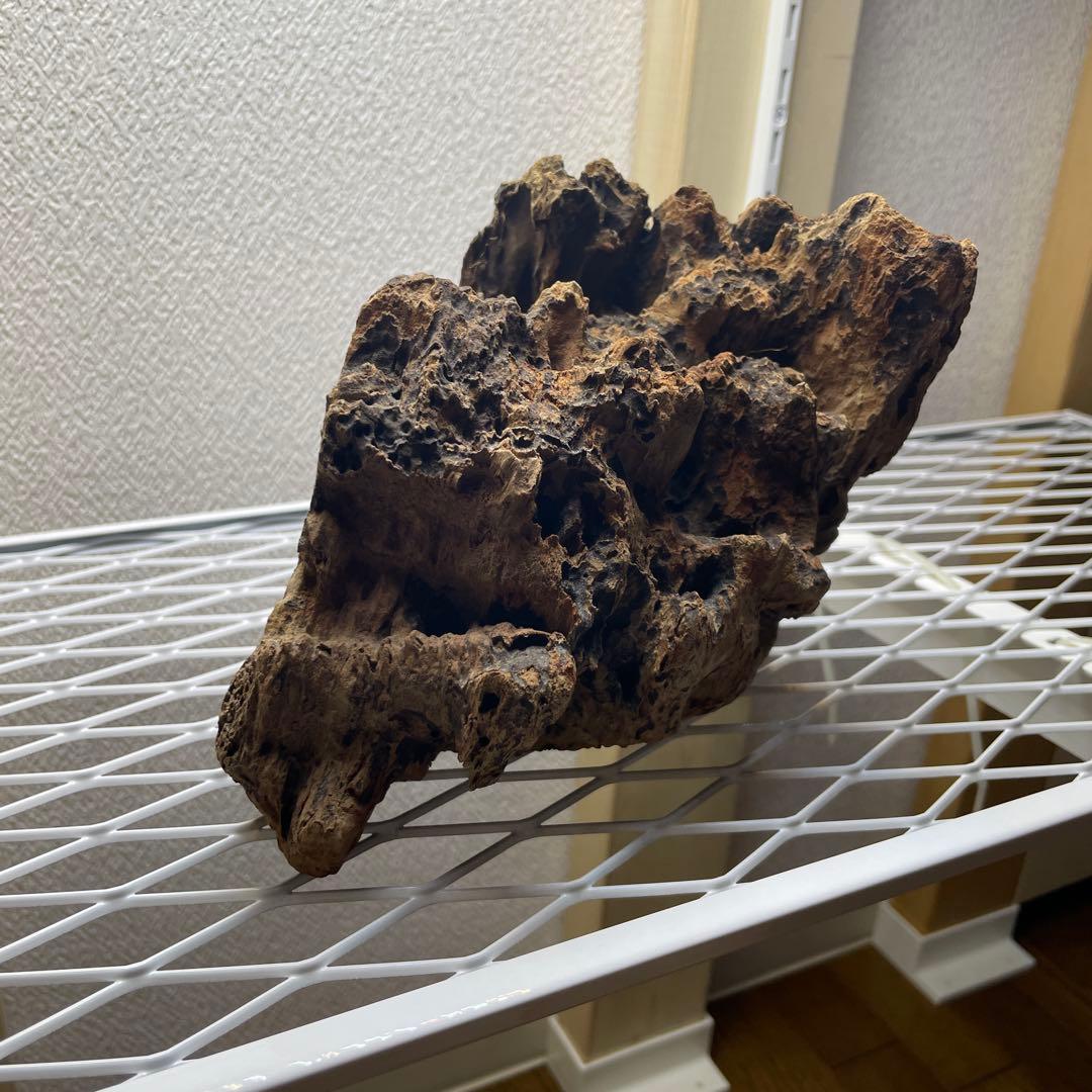 極上　スラウェシウッド　塊状流木　岩石