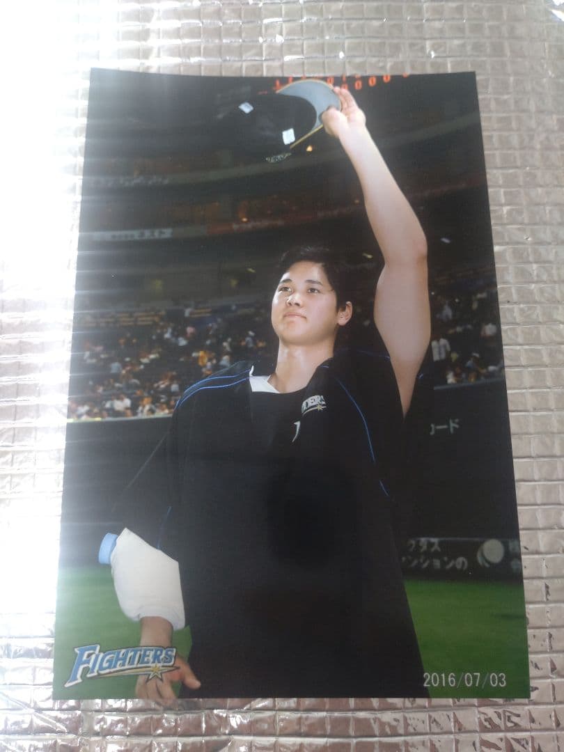 大谷翔平 2016 ハイライトフォト 9 日本ハム 球団公式写真