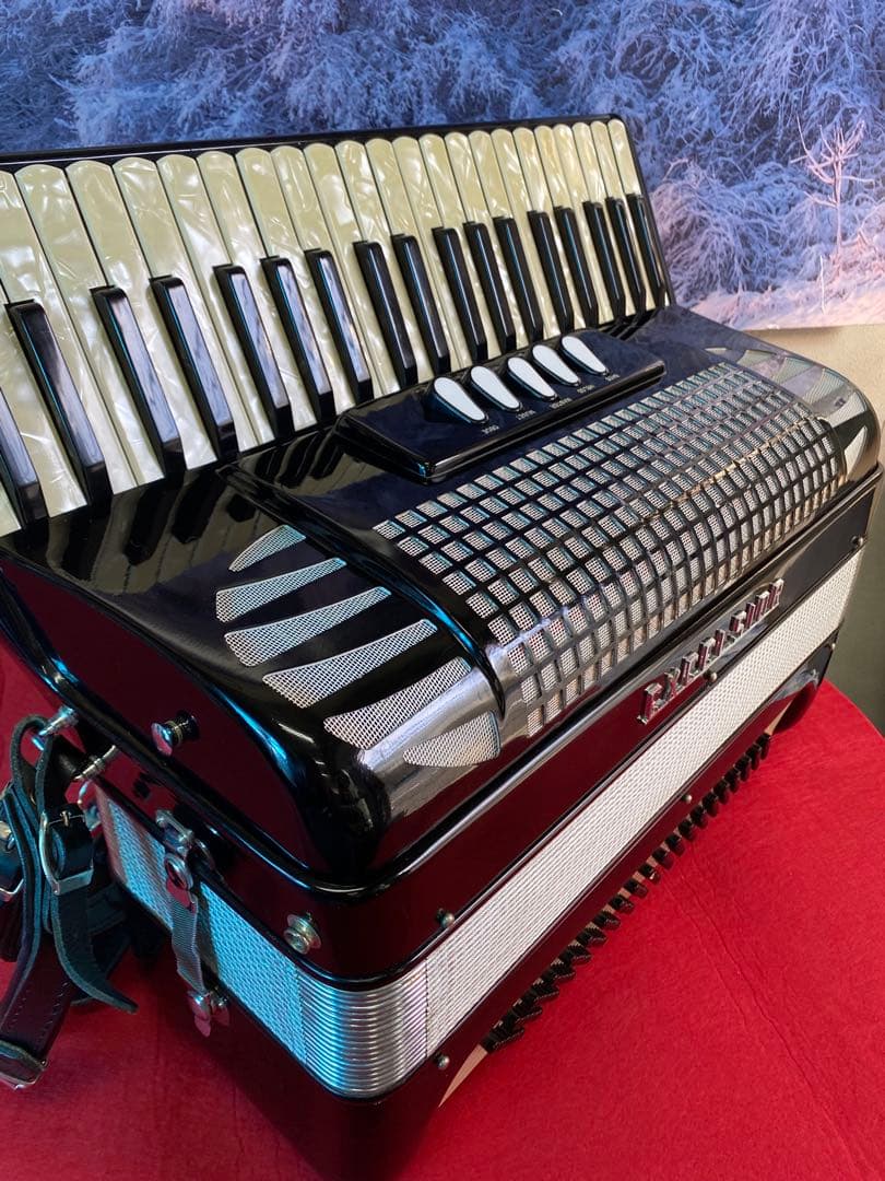 綺麗に保管された美品、EXCELSIOR400.41鍵120べース443hz