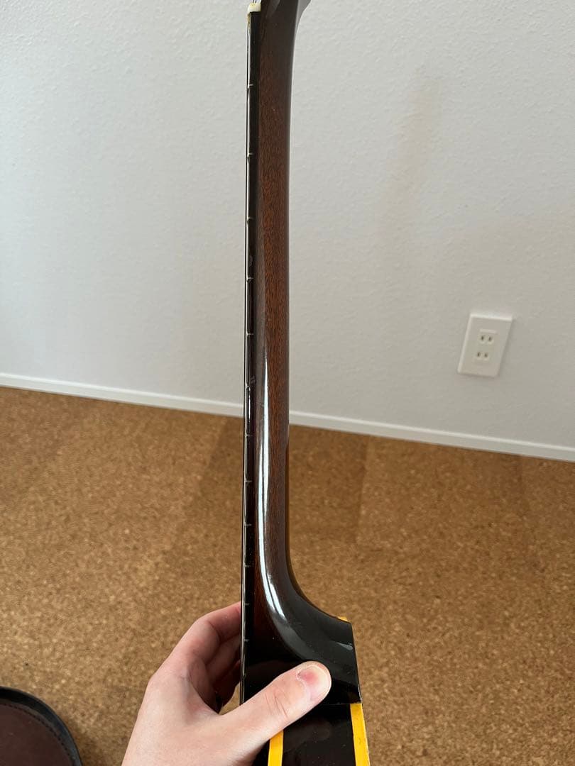 希少 gibson ギブソン ES-125T 1960年製 vintage