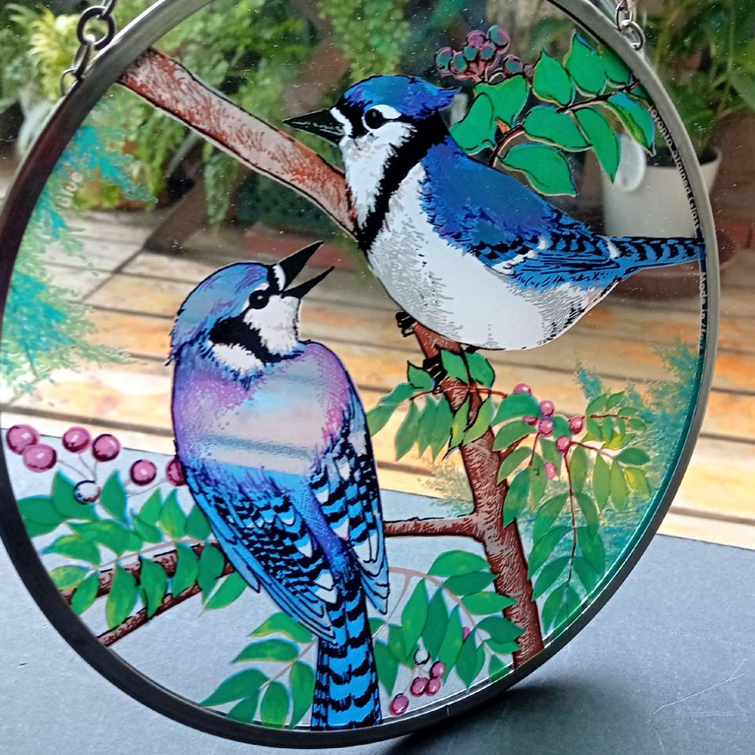 トロント・ステンドグラス Blue Jay ブルージェイ アオカケス