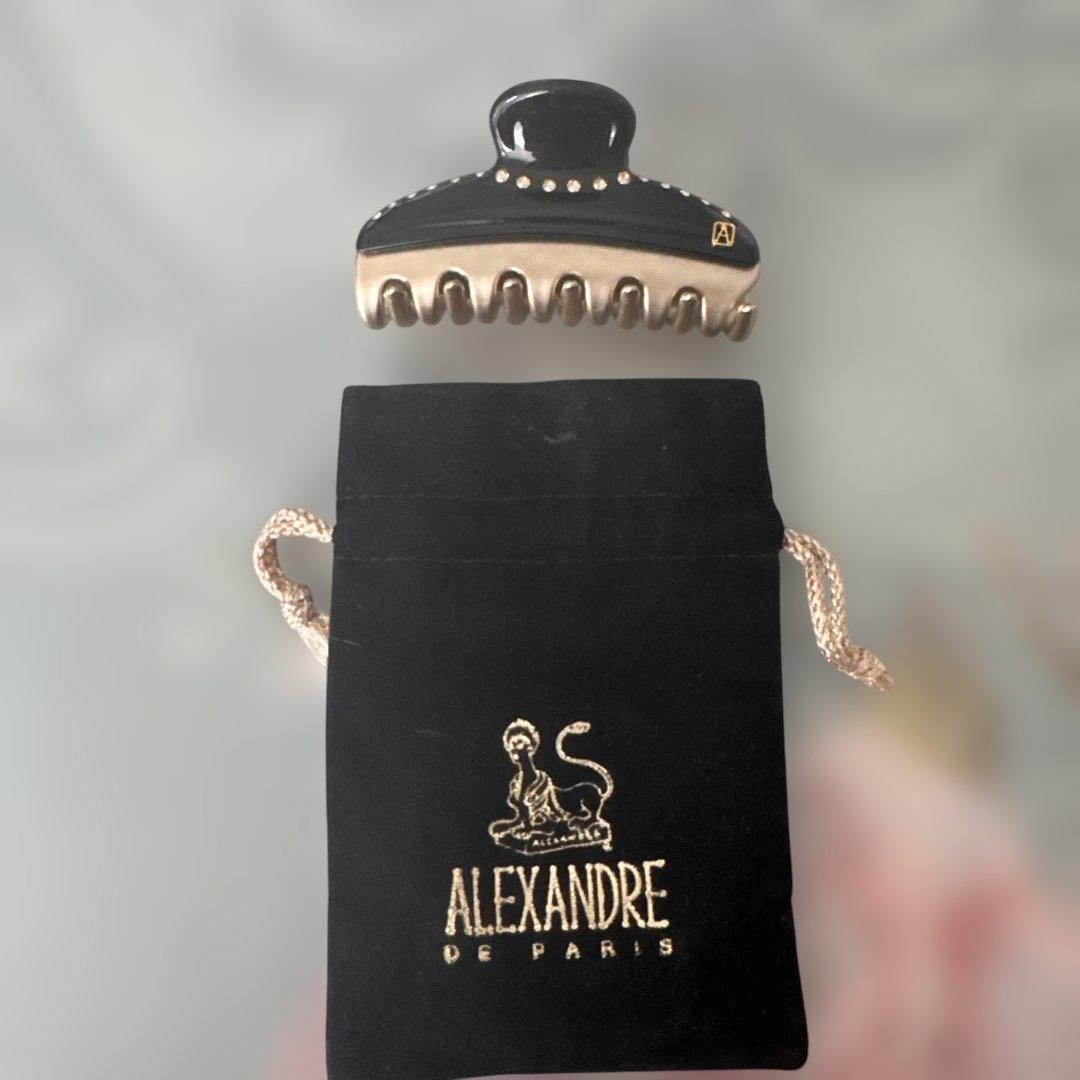 美品ALEXANDRE DE PARIS ヘアクリップ 黒