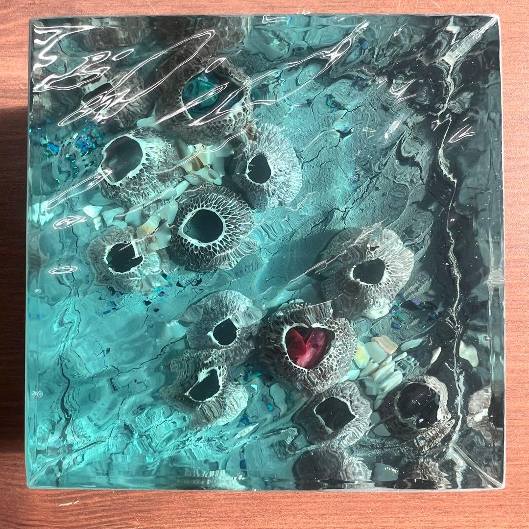 【波紋アート】フジツボアート／barnacle／オブジェ／10cmプリズム