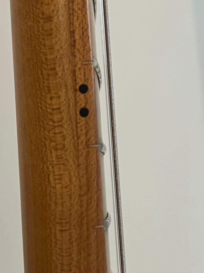 【最終価格】Bacchus TAC24 STD-RSM/M M-SFG