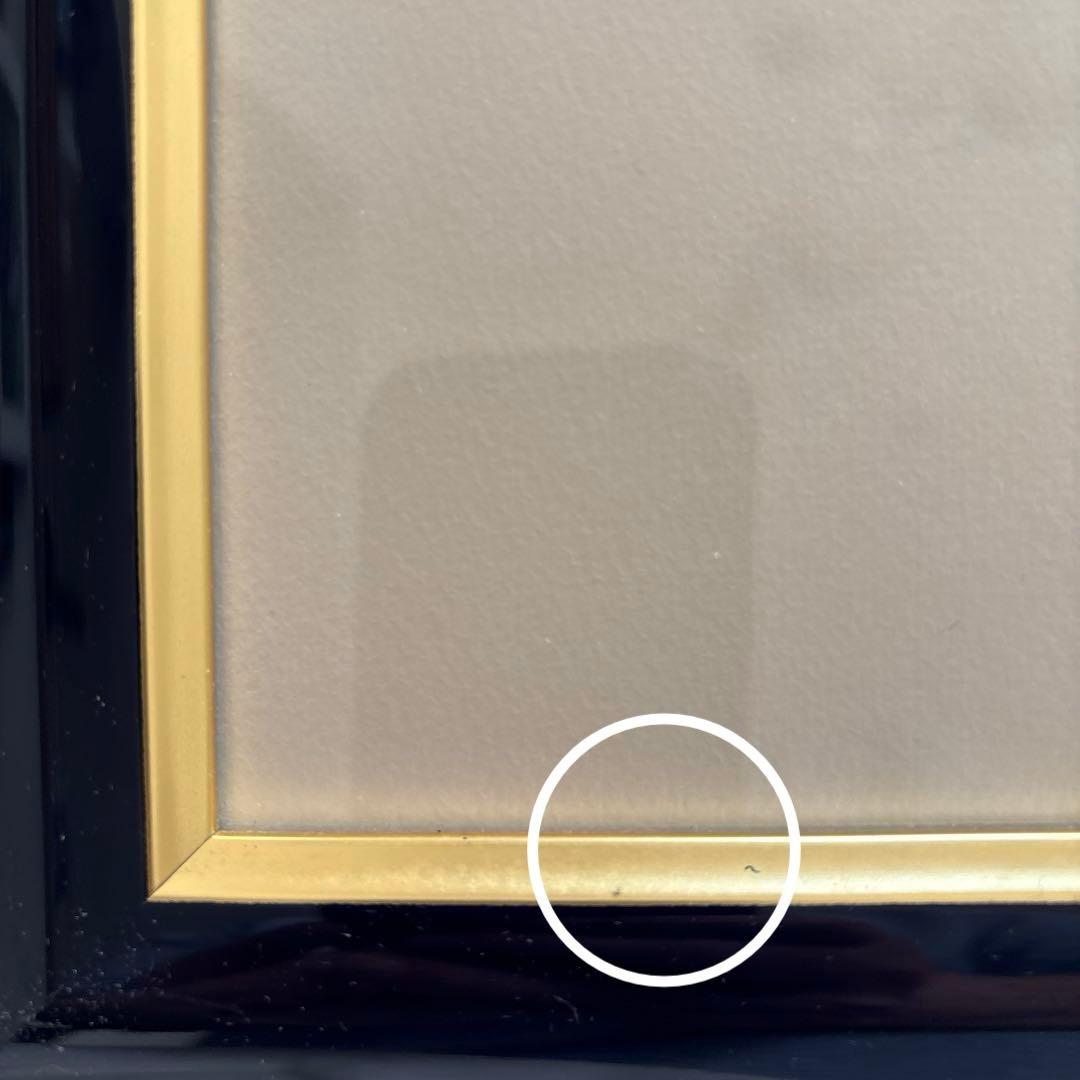 Seiji Fujishiro レフグラフ　サイン入り【線香花火】　藤城清治