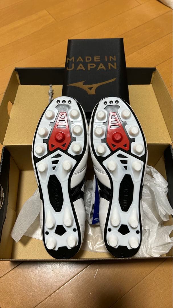 モレリア2 クロスステッチ　26.5