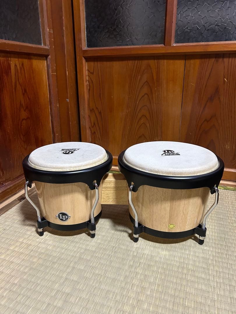 LP Aspire Wood Bongos ボンゴ
