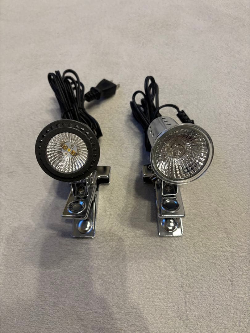 【飼育セット/箱付き】パンテオン ＷＨ４５３５ 飼育セット