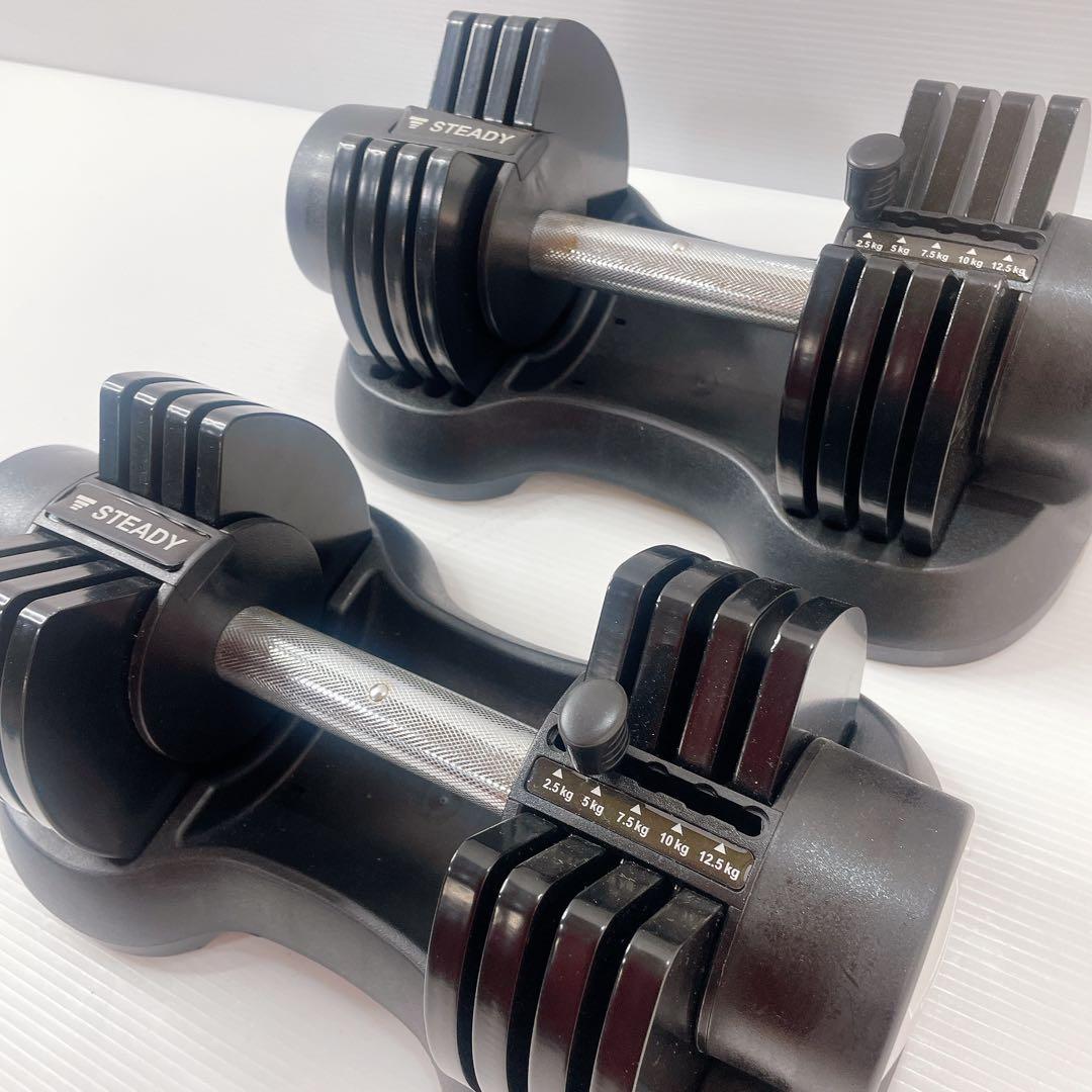 STEADY 可変式ダンベル 12.5kg 2個セット