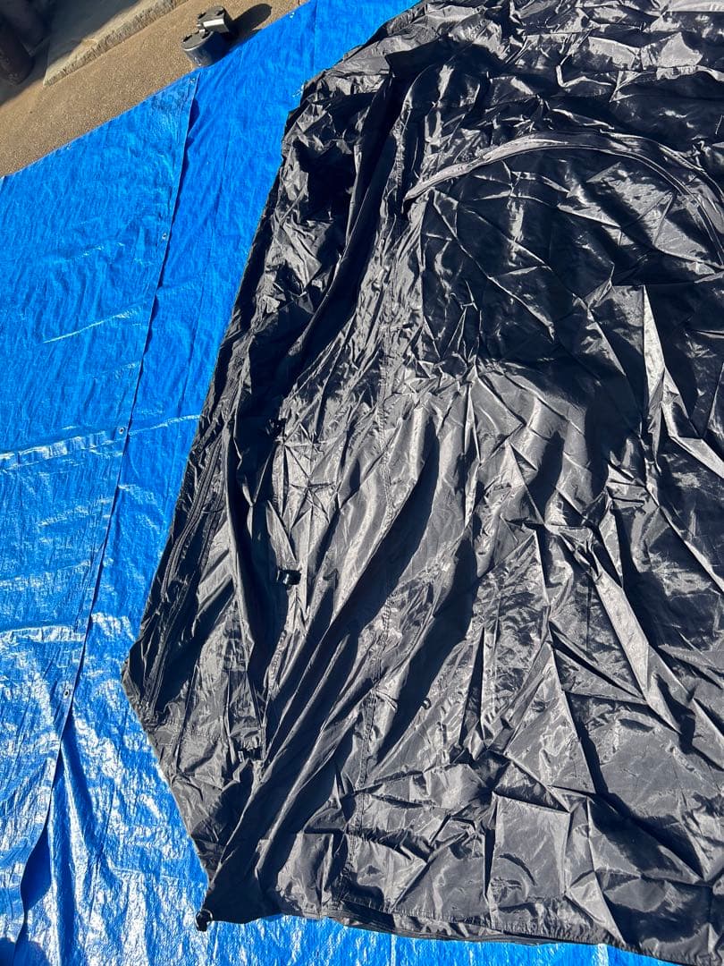 HORIZON ARROW CAREX カーレックス