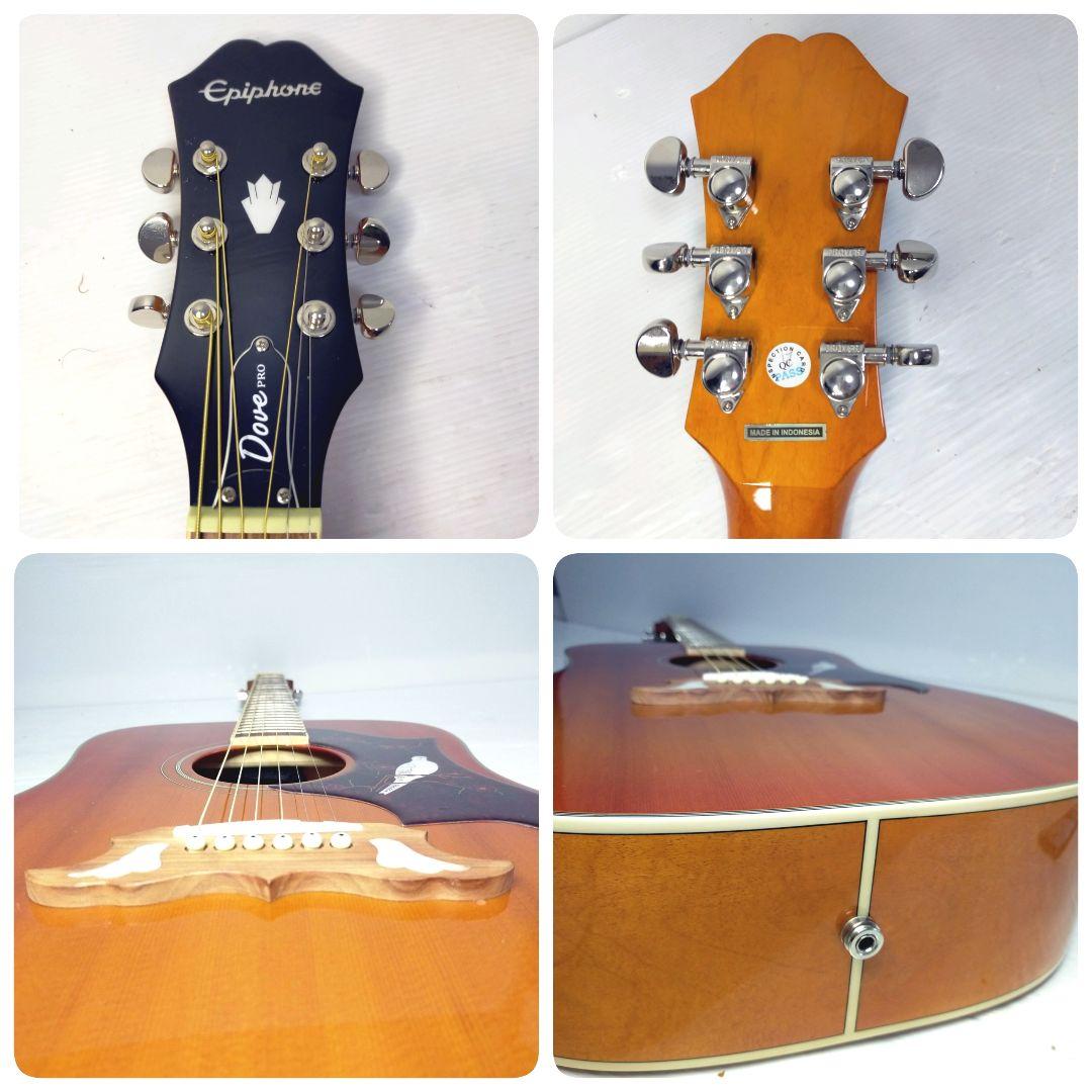 【極美品/24h内発送】Epiphone Dove Pro 幸せを運ぶ鳩の調べ