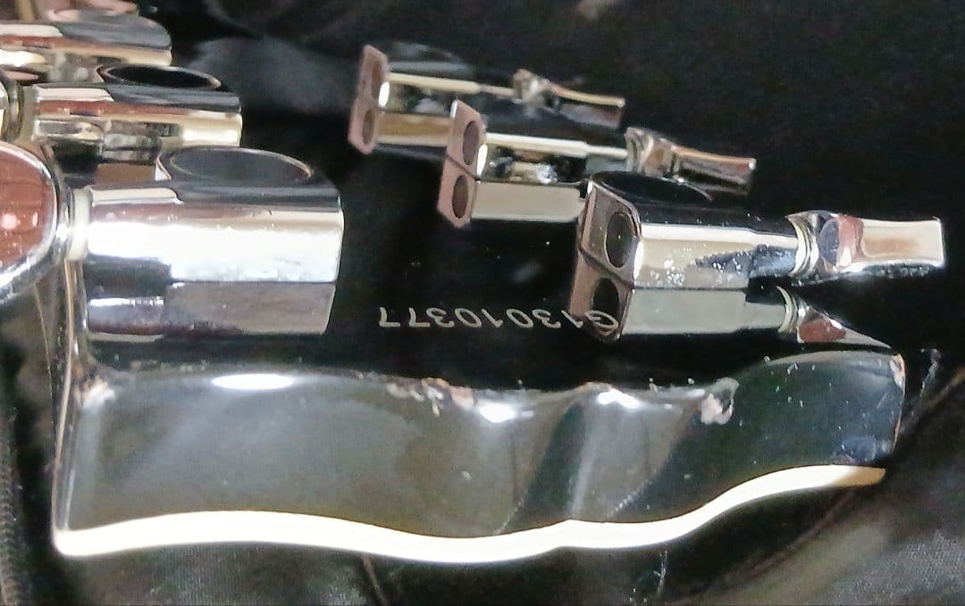 FERNANDES burny RLC-55　付属品付