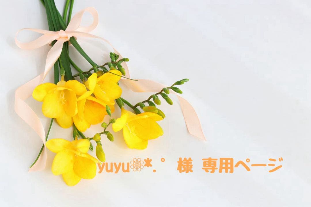 yuyu❁⃘*.゜様 ♡ 専用ページ