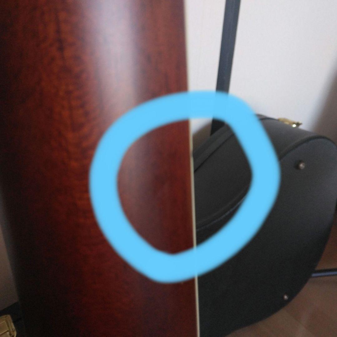 MORRIS モーリス　TF-60 アコースティックギター サンバースト