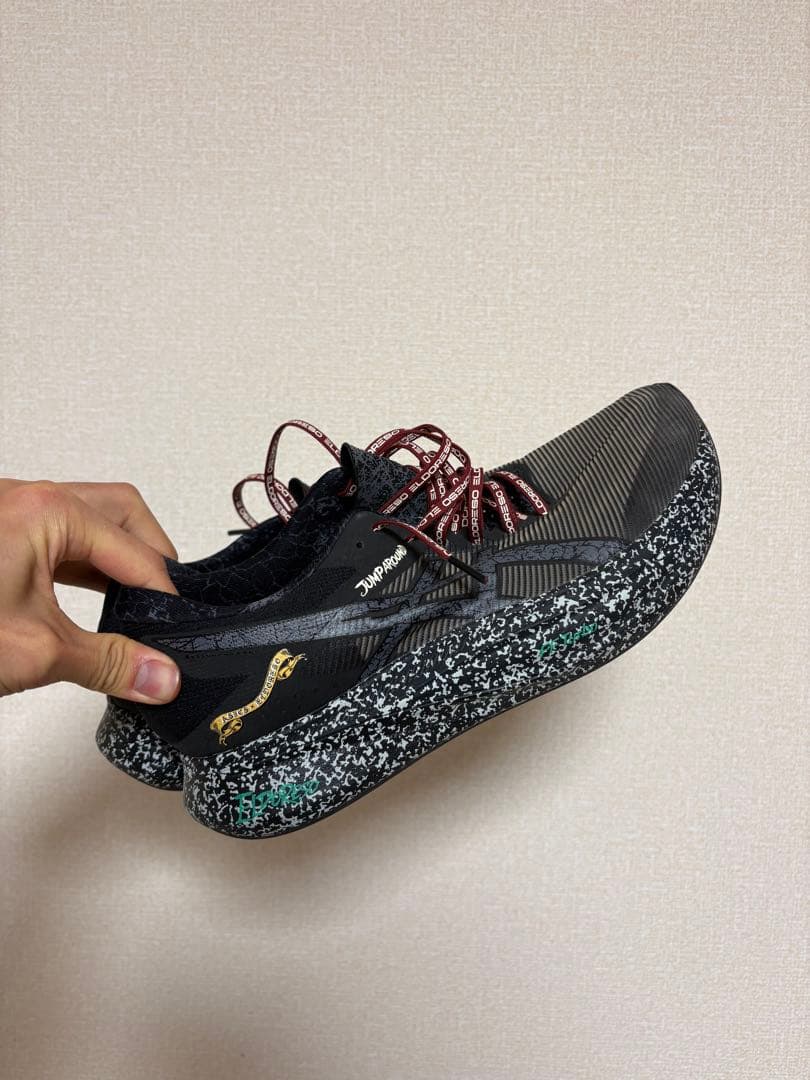 アシックス✖︎エルドレッソ S4 28.5