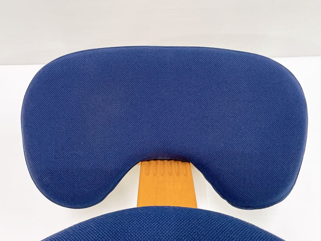 ゆーた撥水カバー付 サカモトハウス バランスチェア イージー