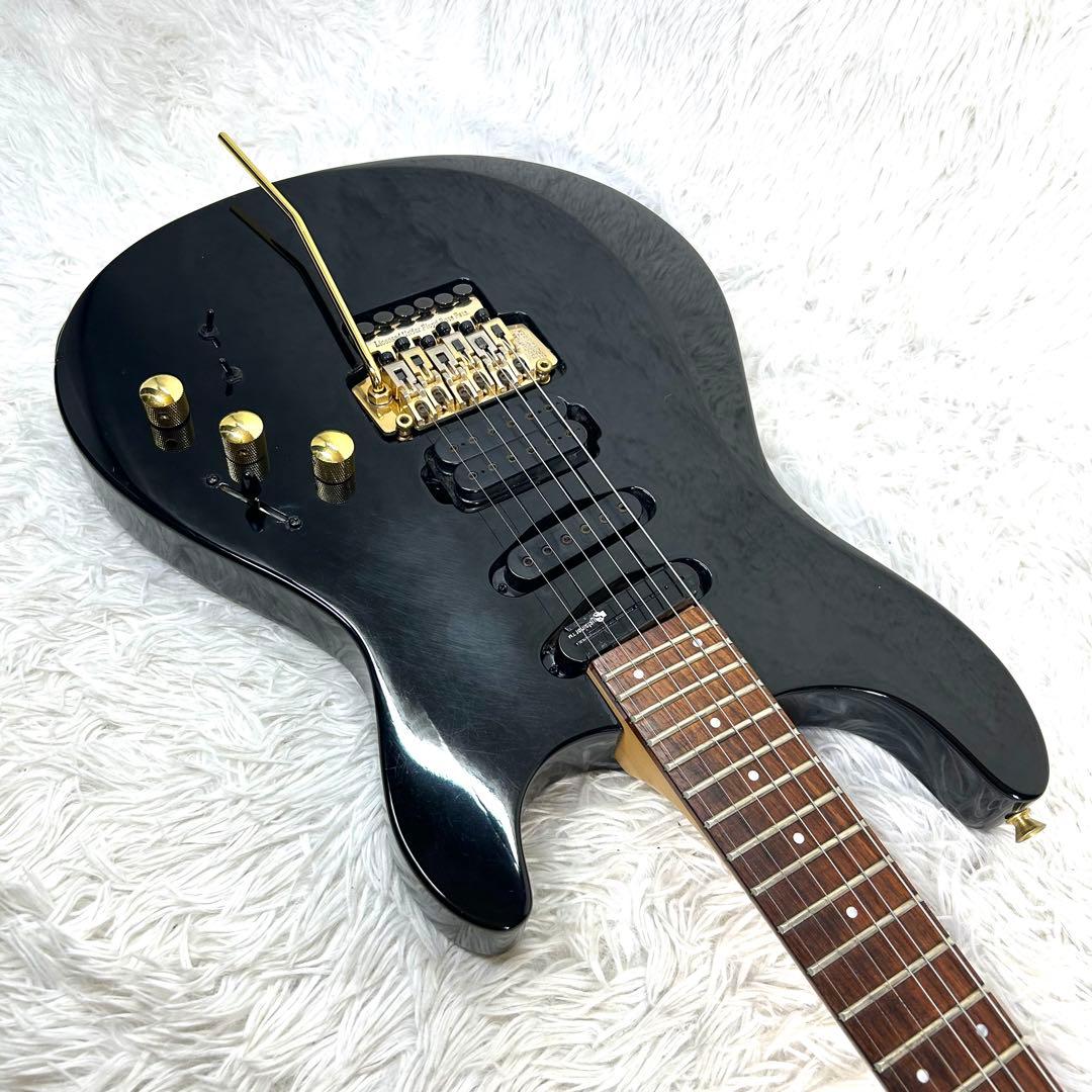 【希少】Fernandes APG-85S GLAY HISASHI愛用モデル
