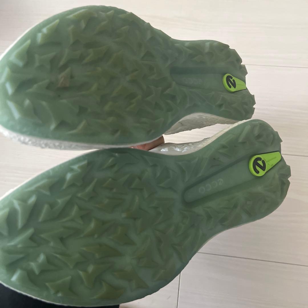 ホウシン様　エコーecco BIOMメンズゴルフシューズ 26