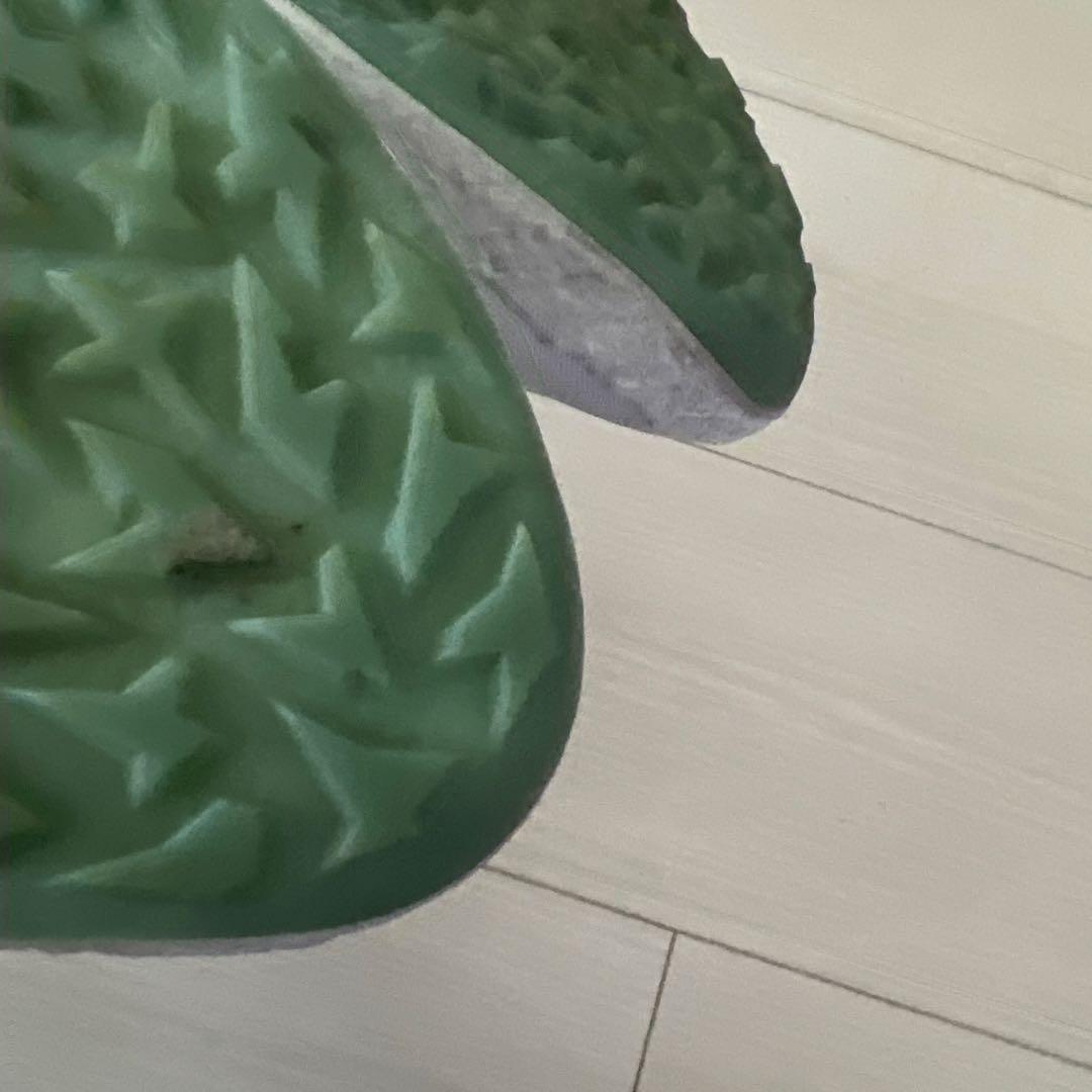 ホウシン様　エコーecco BIOMメンズゴルフシューズ 26