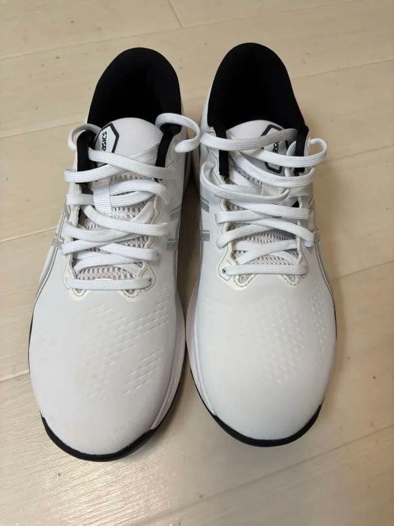 【新品】asics アシックス GEL-KAYANO ACE2　26.0cm