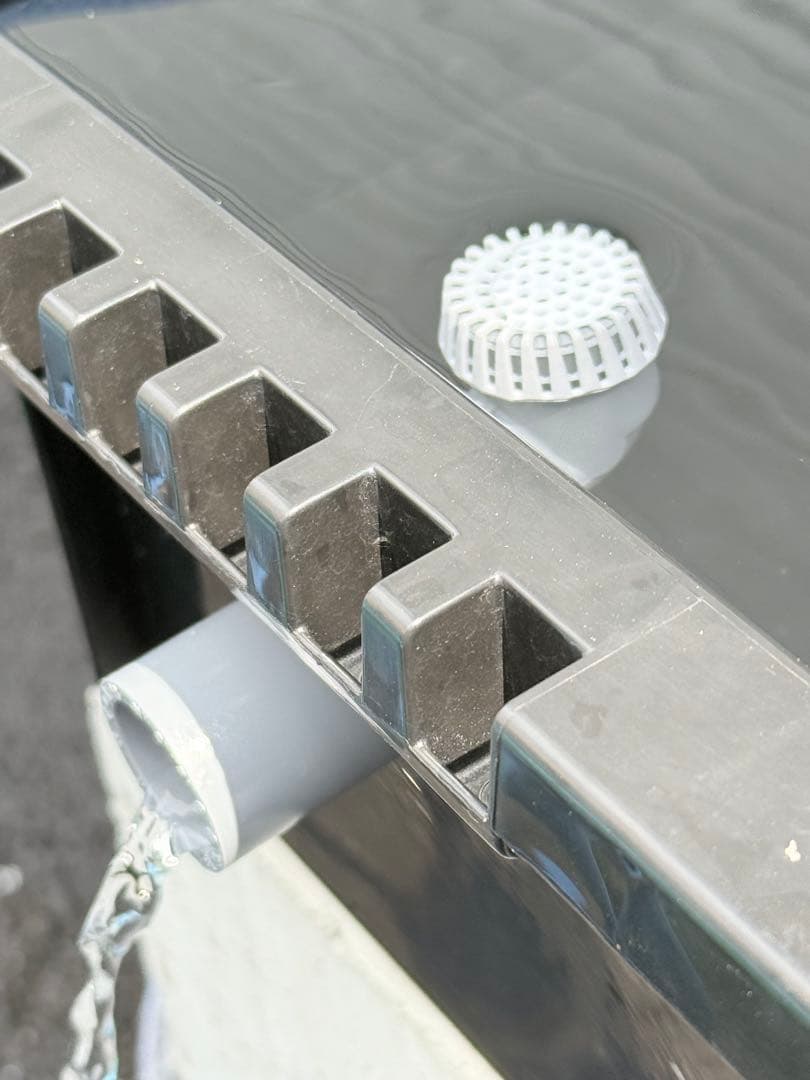 メダカ飼育容器オーバーフロー加工済プラ舟80L 2個セット トロ舟 プランター