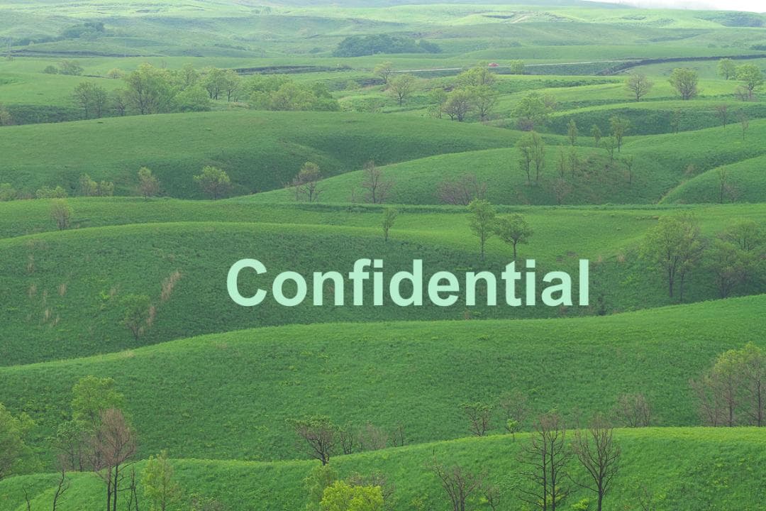 額装写真 アートパネル アートフォト 自然風景 インテリアフォト