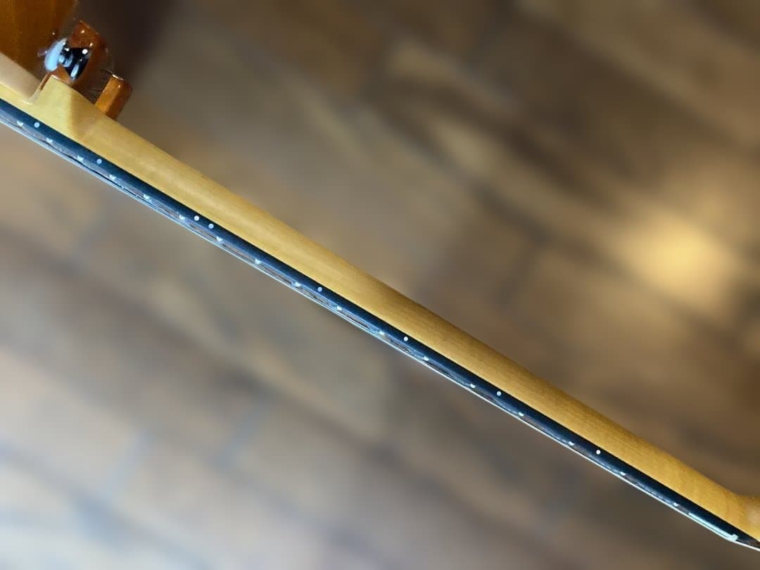 Westville Westel Semi-Hollow 　貴重な１マイク仕様