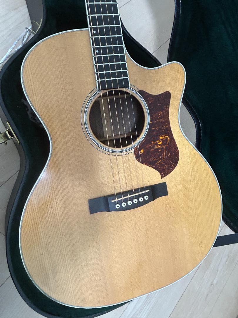 Martin マーチン　アコースティックギター Fishman F1 Aura