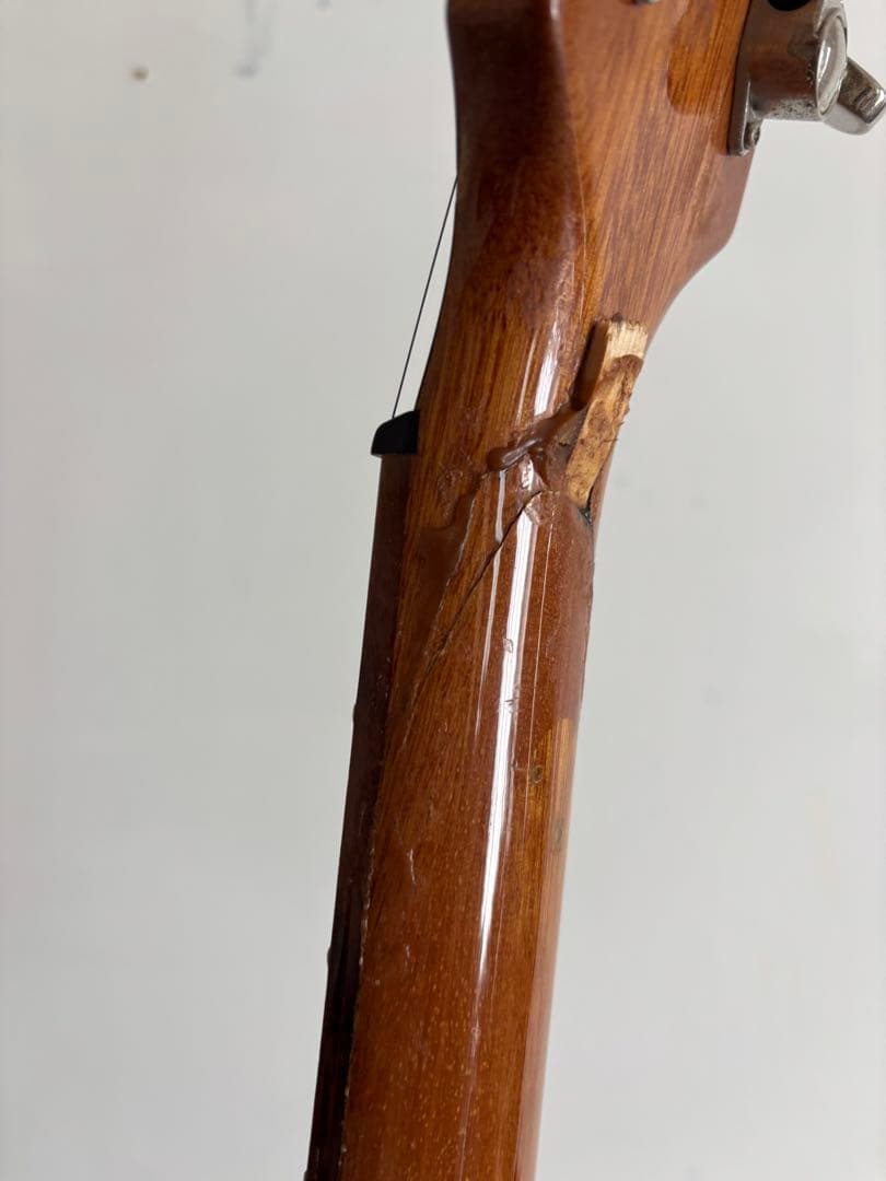 (ジャンク) epiphone Dot