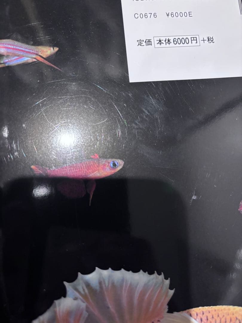 ジェックス グラステリアＡＧＳスライド ＯＦ－２３０　水槽色々セット