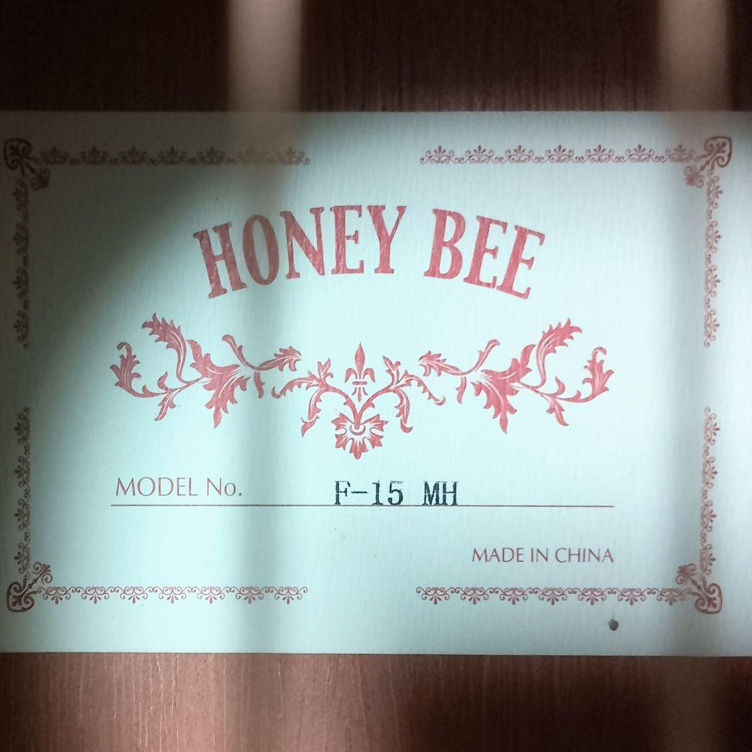 HONEY BEE　F-15 MH　アコースティックギター　弦は新品！