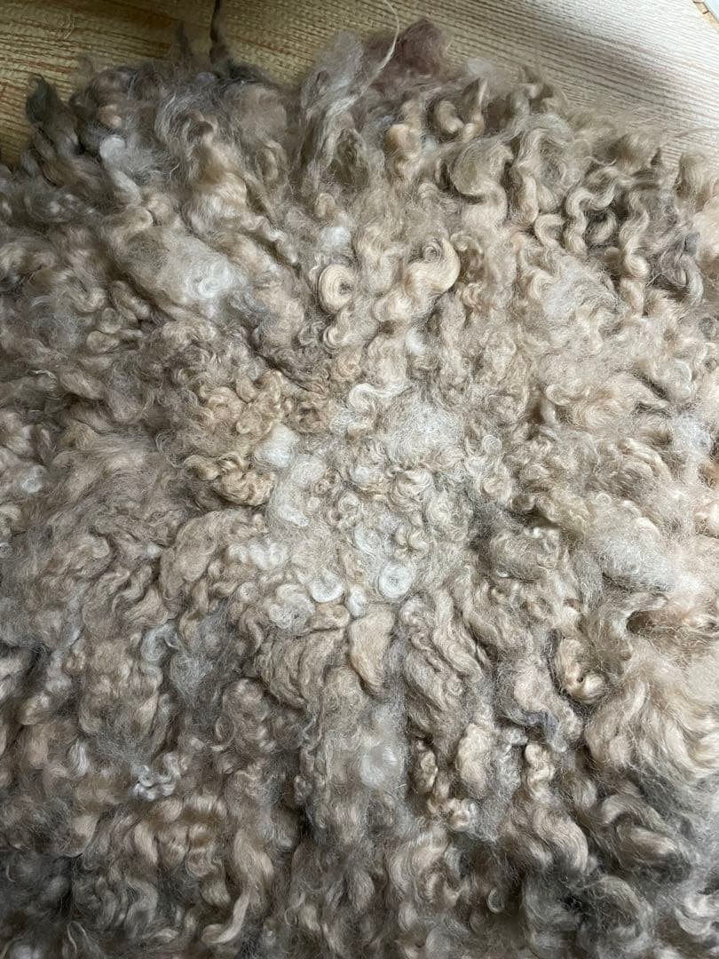 ニューボーンフォト用　カゴ、ファー、クマの帽子