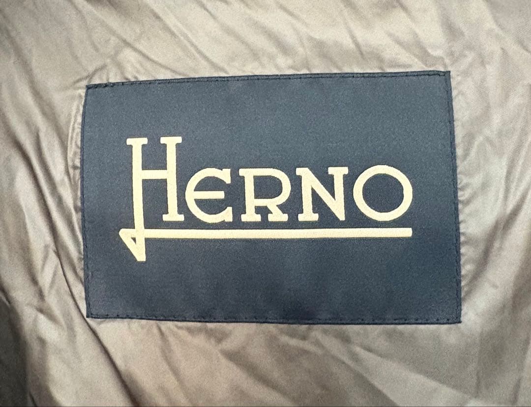 定価37.8万 ヘルノ×ロロピアーナ 最高級カシミヤシルク フーデッドダウン48