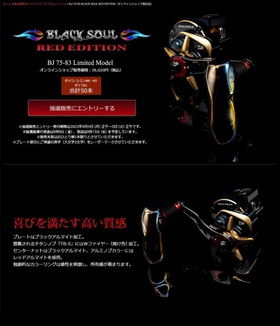 美品！超レア☆ダイワ ソルティガIC 300HL-SJ☆LIVREリミテッド★