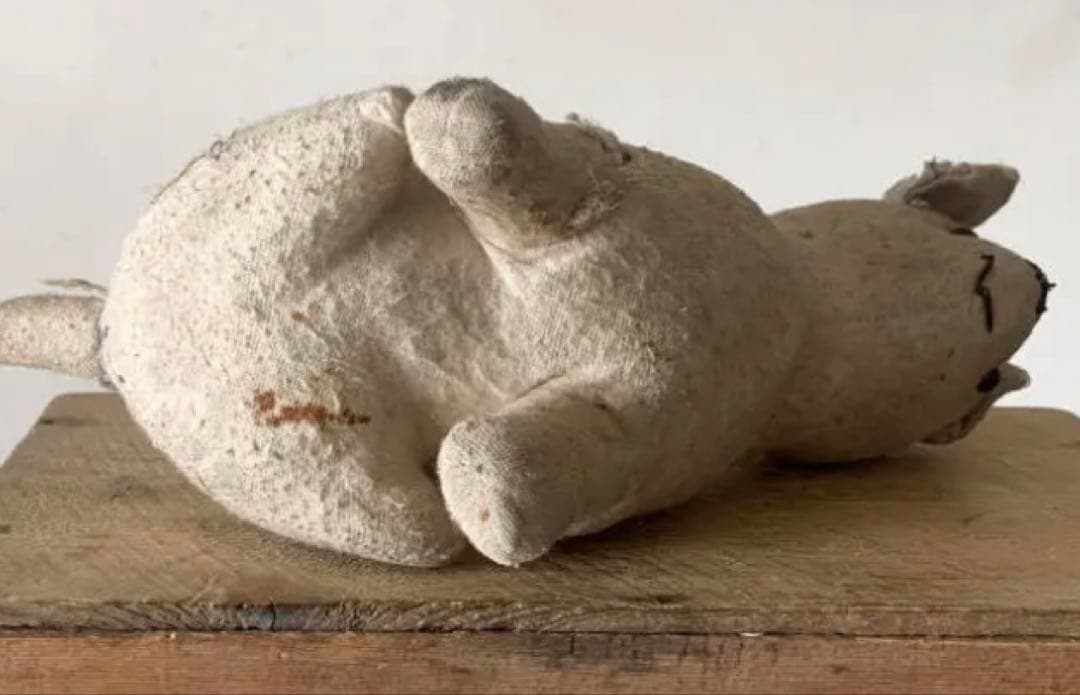 フランス 1900-20s 犬 ぬいぐるみ 木毛 グラスアイ 骨董 アンティーク