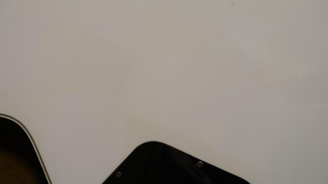 ギター Navigator N-LP-CTM Alpine White