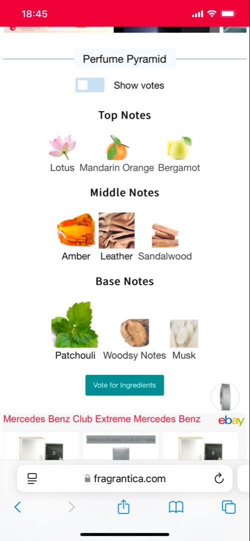 Mercedes Benz Club Extreme 激レア