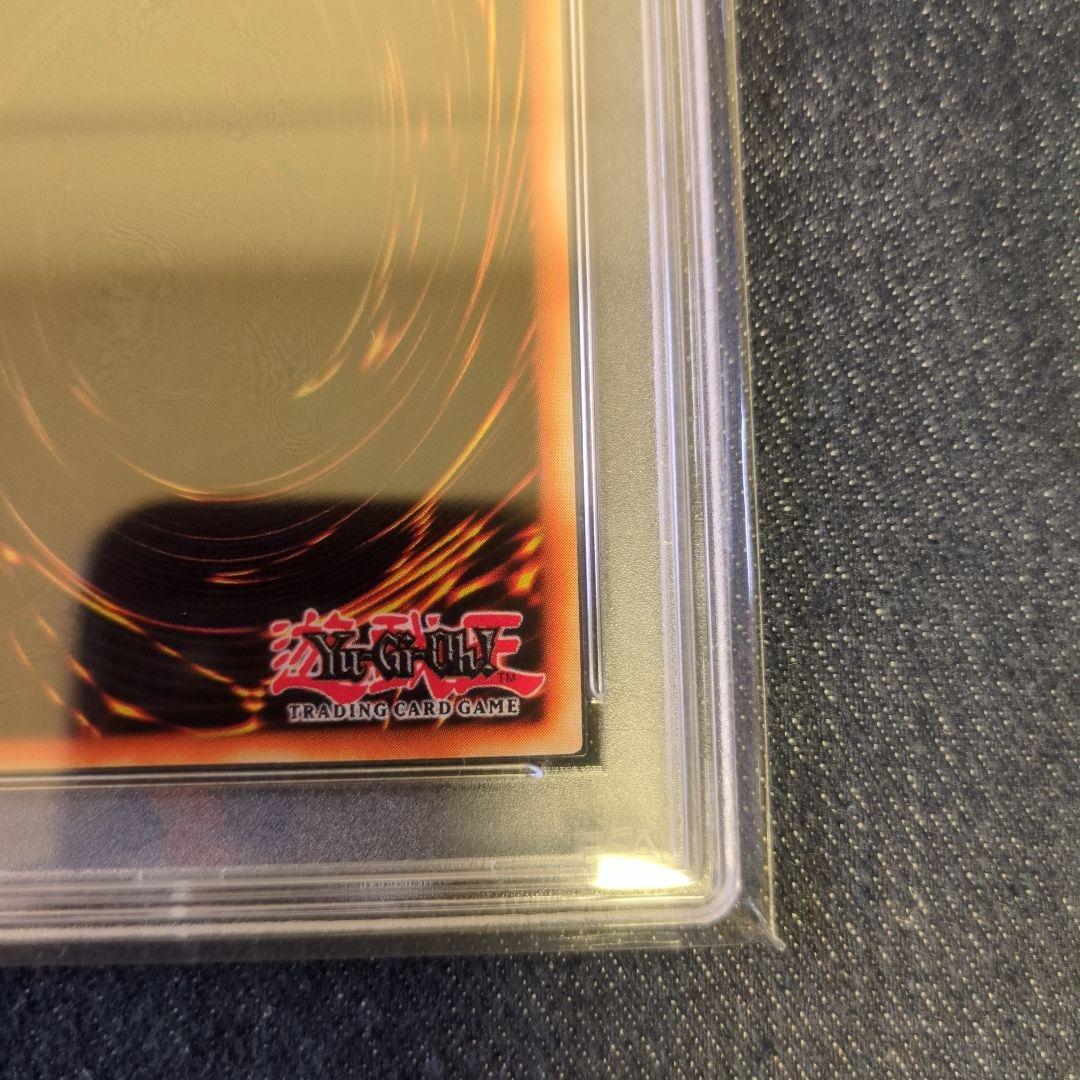 （PSA8）【匿名配送】WCS-EN403　千年原人