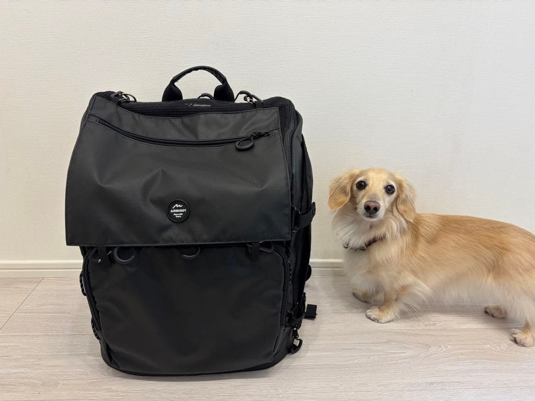 エアバギーリュック レギュラーサイズ ブラック